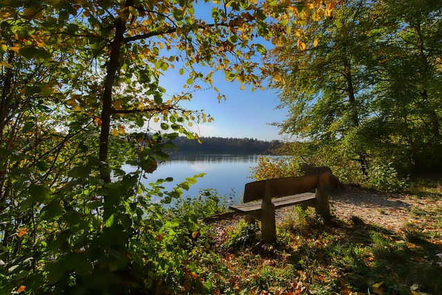 7人驱逐！活塞森林狼冲突, 里德霍兰对喷迪文琴佐, 被按观众席上揍.