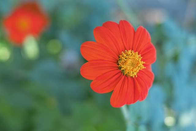 发力保暖保供，国资央企在行动.