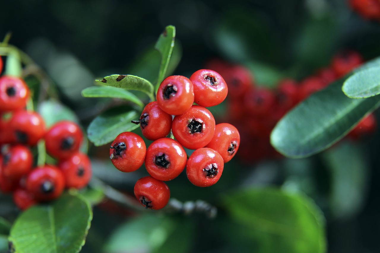 优选方式 优选方式