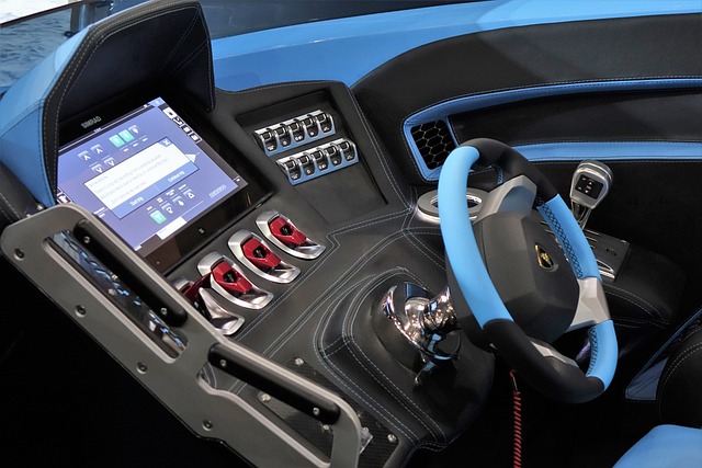 彰显了运动 彰显了运动