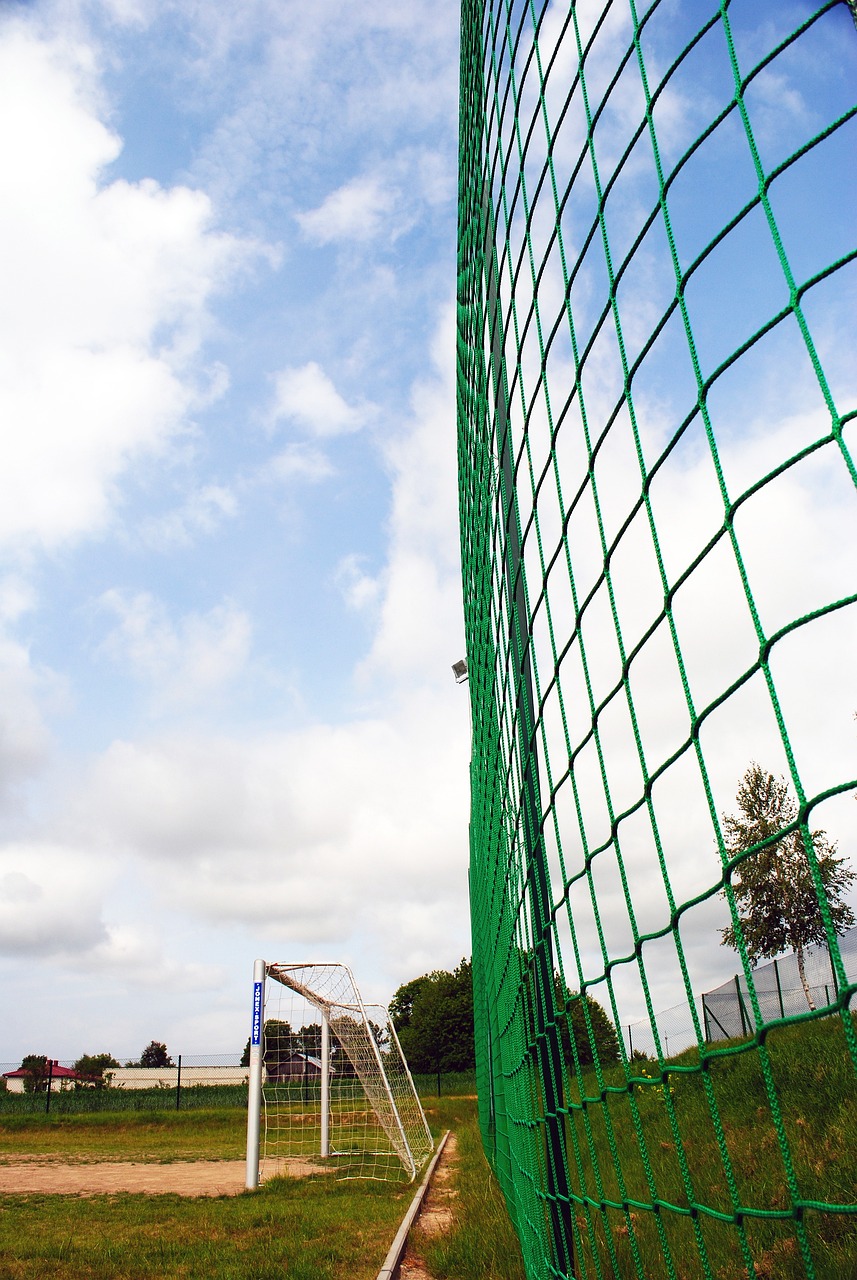 力和挑战 力和挑战