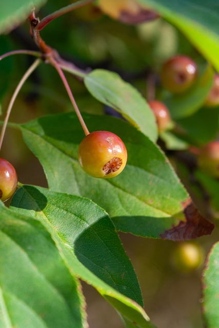 对于热火的 对于热火的