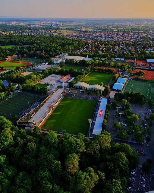 赛事参与者 赛事参与者